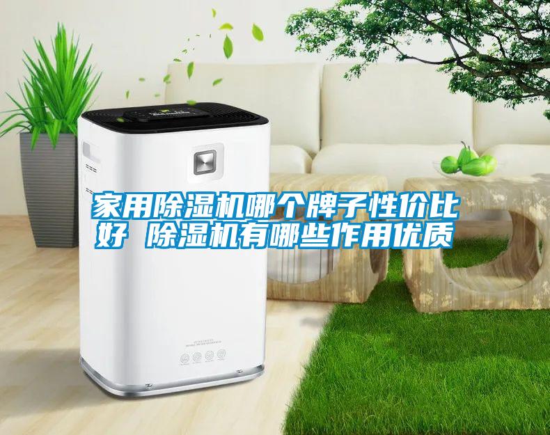 家用除濕機哪個牌子性價比好 除濕機有哪些作用優質