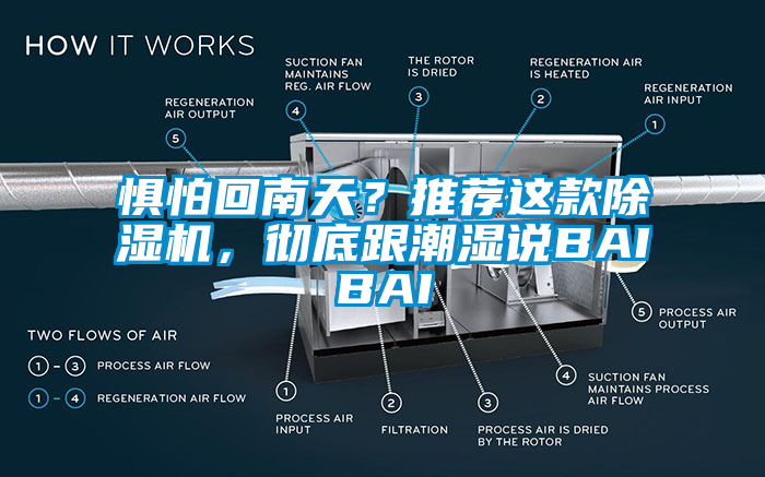 懼怕回南天？推薦這款除濕機，徹底跟潮濕說BAIBAI