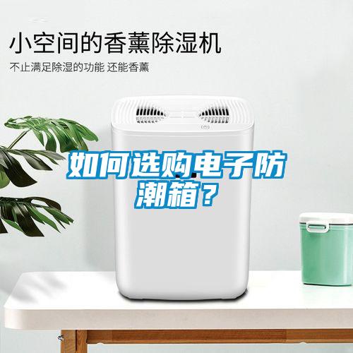 如何選購電子防潮箱？