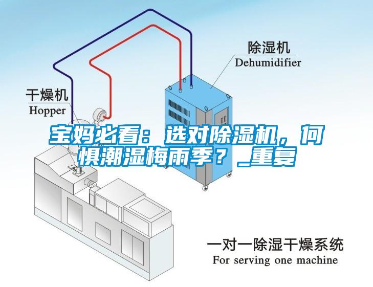 寶媽必看：選對除濕機，何懼潮濕梅雨季？_重復