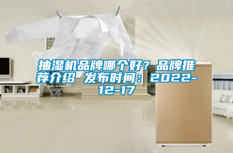 抽濕機品牌哪個好？品牌推薦介紹 發布時間：2022-12-17