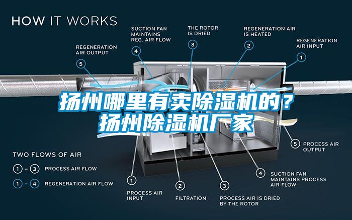 揚州哪里有賣除濕機的？揚州除濕機廠家