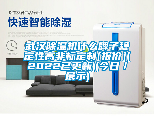 武漢除濕機什么牌子穩定性高非標定制[報價](2022已更新)(今日／展示)