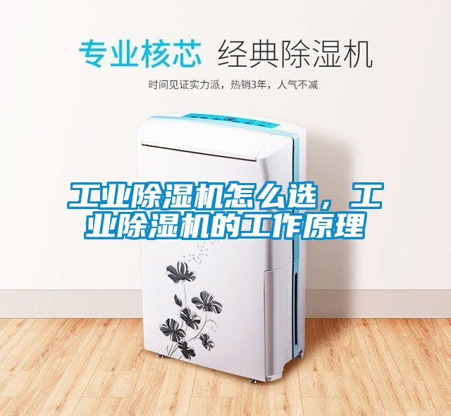 工業除濕機怎么選，工業除濕機的工作原理