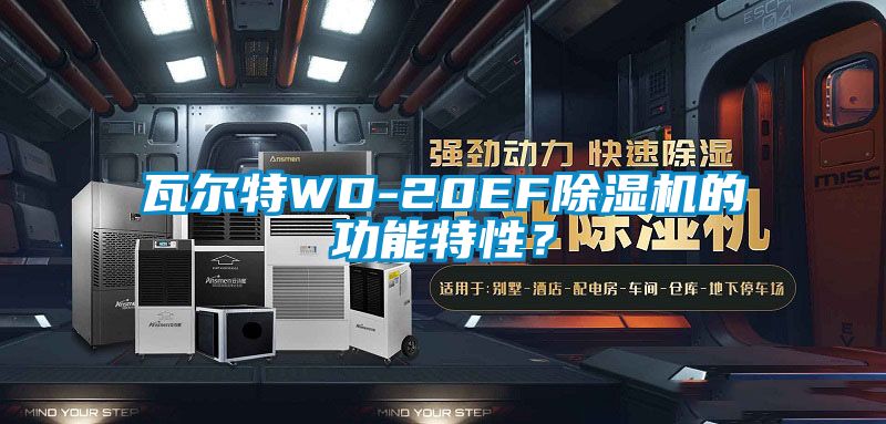 瓦爾特WD-20EF除濕機的功能特性？