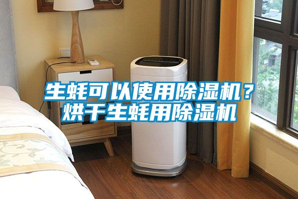 生蠔可以使用除濕機？烘干生蠔用除濕機