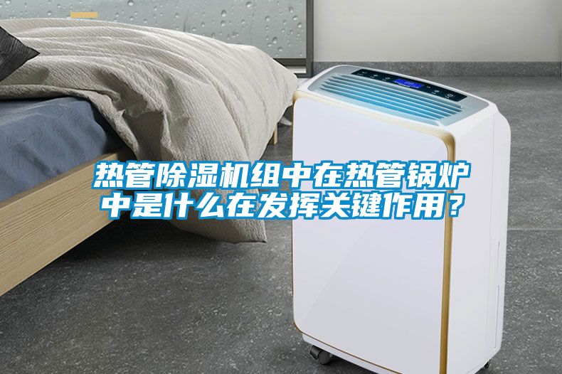 熱管除濕機組中在熱管鍋爐中是什么在發揮關鍵作用？