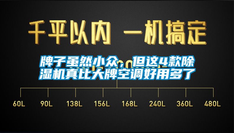 牌子雖然小眾，但這4款除濕機真比大牌空調好用多了