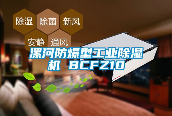 漯河防爆型工業除濕機 BCFZ10