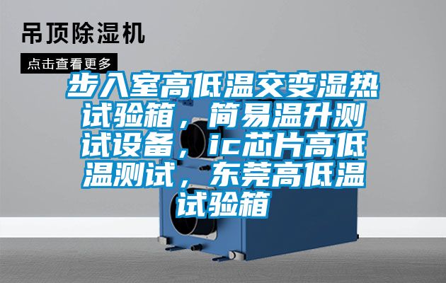 步入室高低溫交變濕熱試驗箱，簡易溫升測試設備，ic芯片高低溫測試，東莞高低溫試驗箱