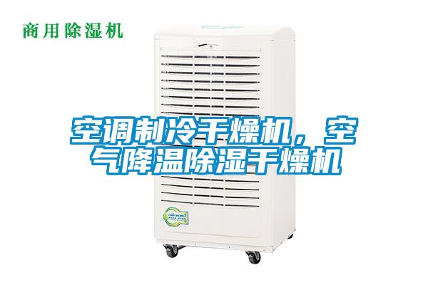 空調制冷干燥機，空氣降溫除濕干燥機