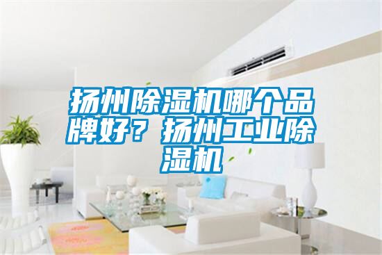 揚州除濕機哪個品牌好？揚州工業除濕機