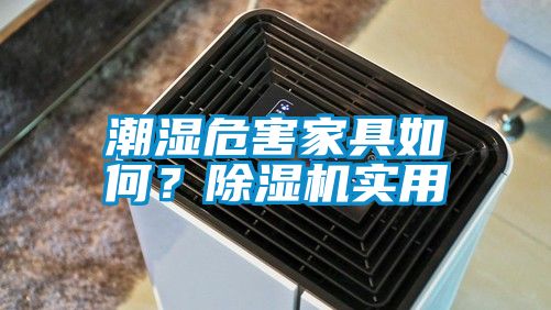 潮濕危害家具如何？除濕機實用