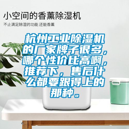 杭州工業除濕機的廠家牌子很多，哪個性價比高啊，推薦下，售后什么都要跟得上的那種。