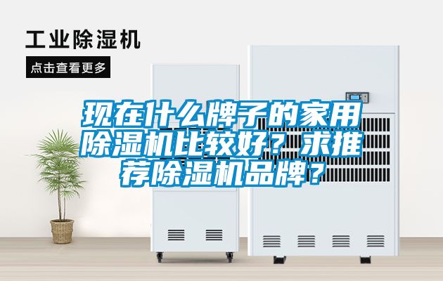 現在什么牌子的家用除濕機比較好？求推薦除濕機品牌？