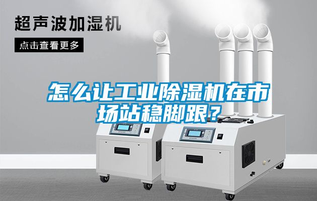 怎么讓工業除濕機在市場站穩腳跟？