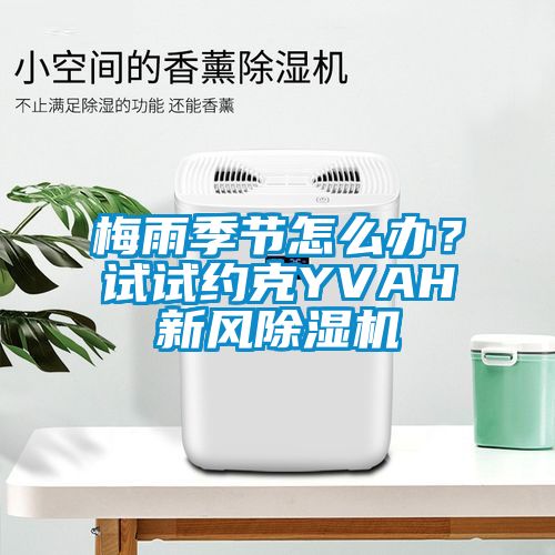 梅雨季節怎么辦？試試約克YVAH新風除濕機