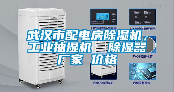 武漢市配電房除濕機，工業抽濕機  除濕器廠家 價格