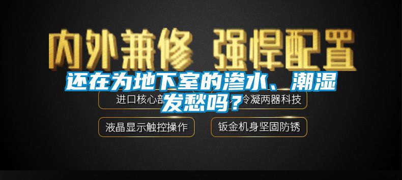 還在為地下室的滲水、潮濕發愁嗎？