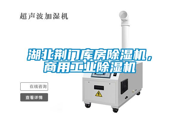 湖北荊門庫房除濕機，商用工業除濕機