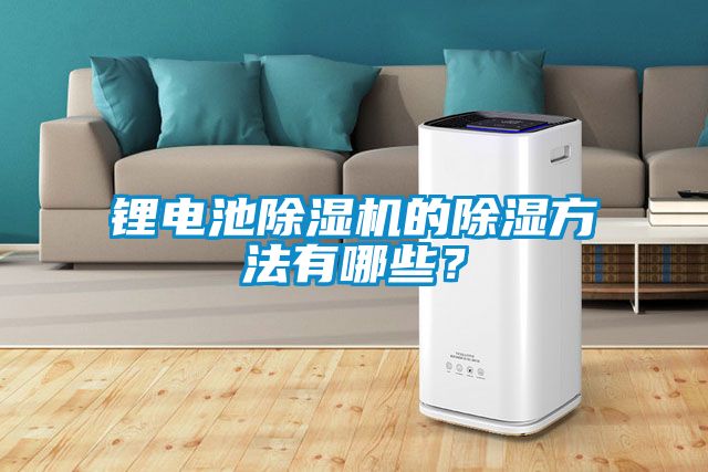 鋰電池除濕機的除濕方法有哪些？