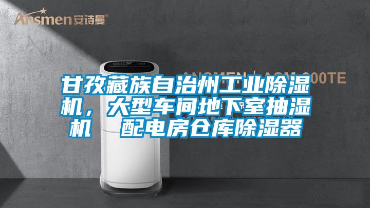 甘孜藏族自治州工業除濕機，大型車間地下室抽濕機  配電房倉庫除濕器