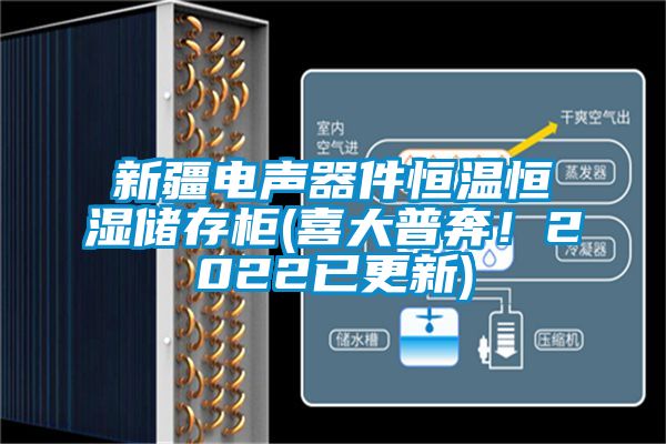 新疆電聲器件恒溫恒濕儲存柜(喜大普奔！2022已更新)