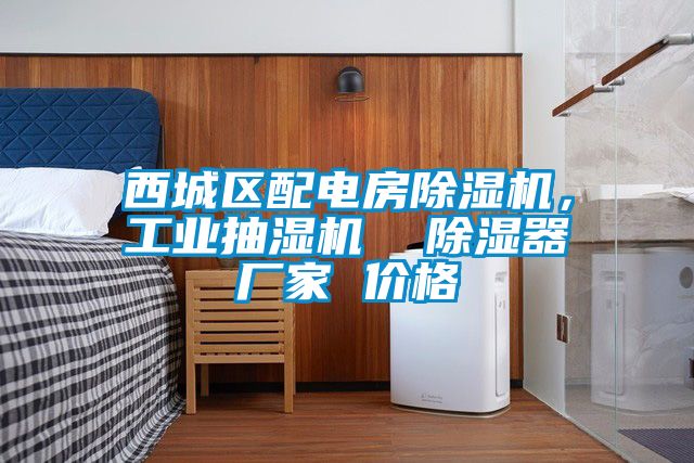 西城區配電房除濕機，工業抽濕機  除濕器廠家 價格