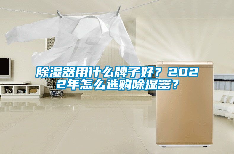 除濕器用什么牌子好？2022年怎么選購除濕器？