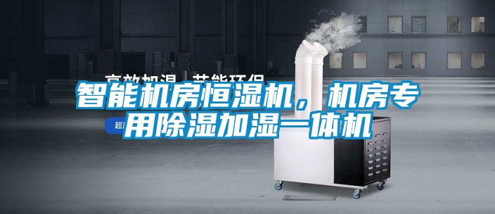 智能機房恒濕機，機房專用除濕加濕一體機