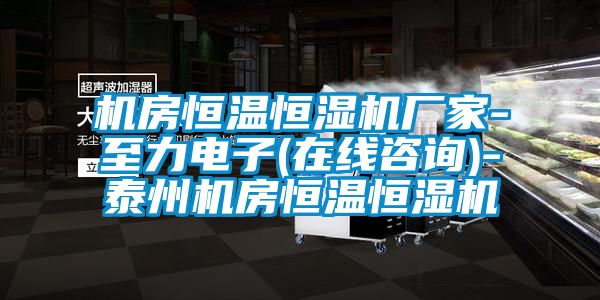 機房恒溫恒濕機廠家-至力電子(在線咨詢)-泰州機房恒溫恒濕機