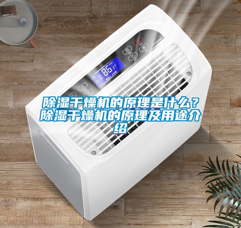 除濕干燥機的原理是什么？除濕干燥機的原理及用途介紹