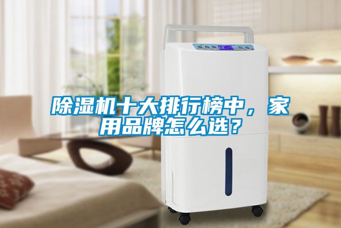 除濕機十大排行榜中，家用品牌怎么選？