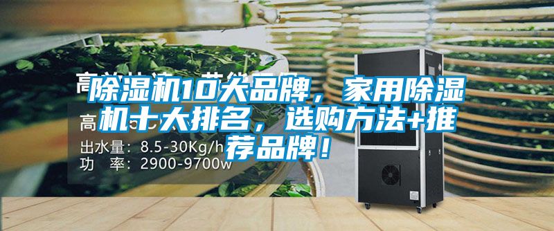 除濕機10大品牌，家用除濕機十大排名，選購方法+推薦品牌！