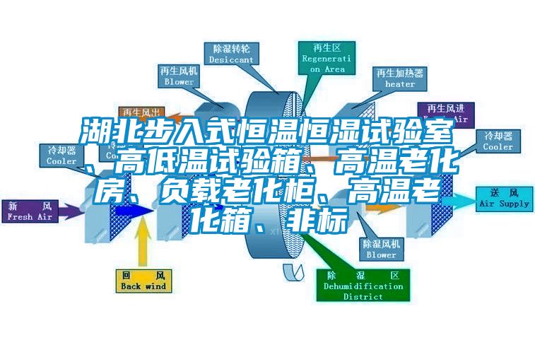 湖北步入式恒溫恒濕試驗室、高低溫試驗箱、高溫老化房、負載老化柜、高溫老化箱、非標