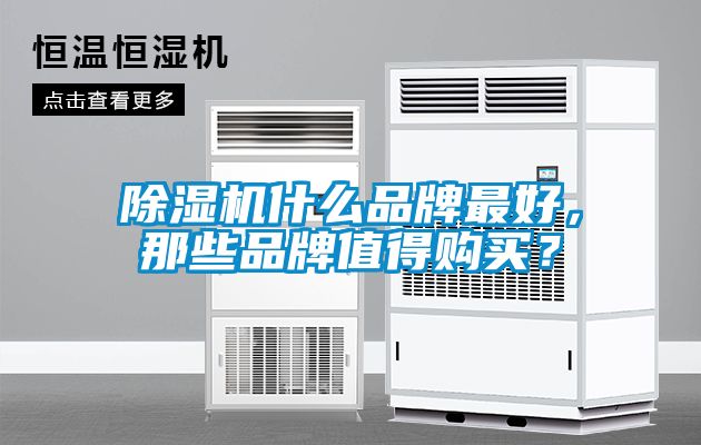 除濕機什么品牌最好，那些品牌值得購買？