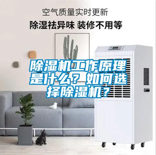 除濕機工作原理是什么？如何選擇除濕機？