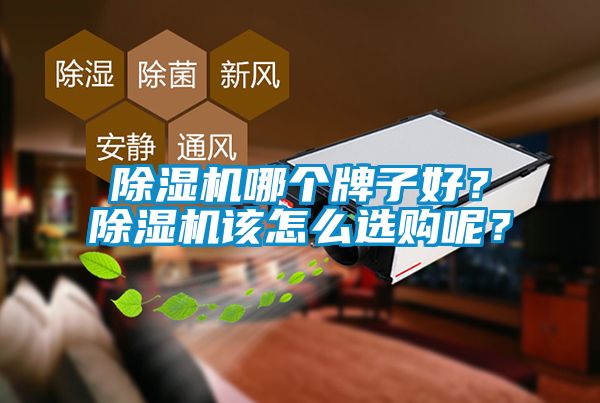 除濕機哪個牌子好？除濕機該怎么選購呢？