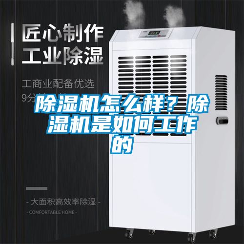 除濕機怎么樣？除濕機是如何工作的