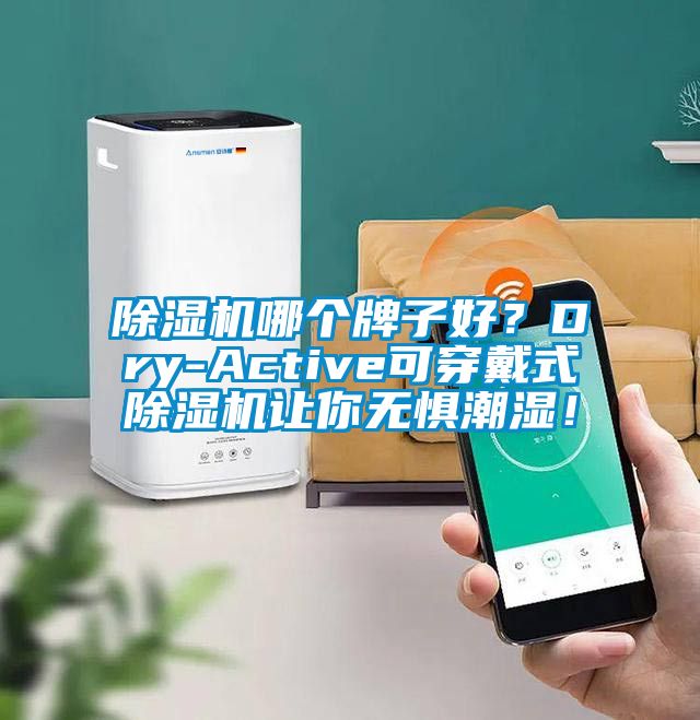 除濕機哪個牌子好？Dry-Active可穿戴式除濕機讓你無懼潮濕！