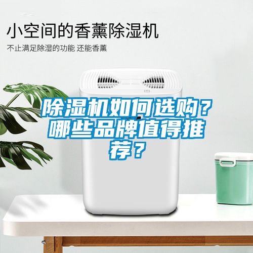 除濕機如何選購？哪些品牌值得推薦？