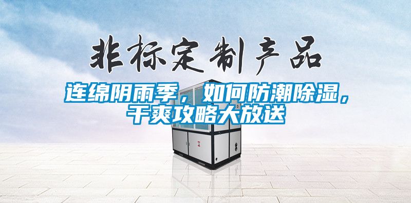 連綿陰雨季，如何防潮除濕，干爽攻略大放送