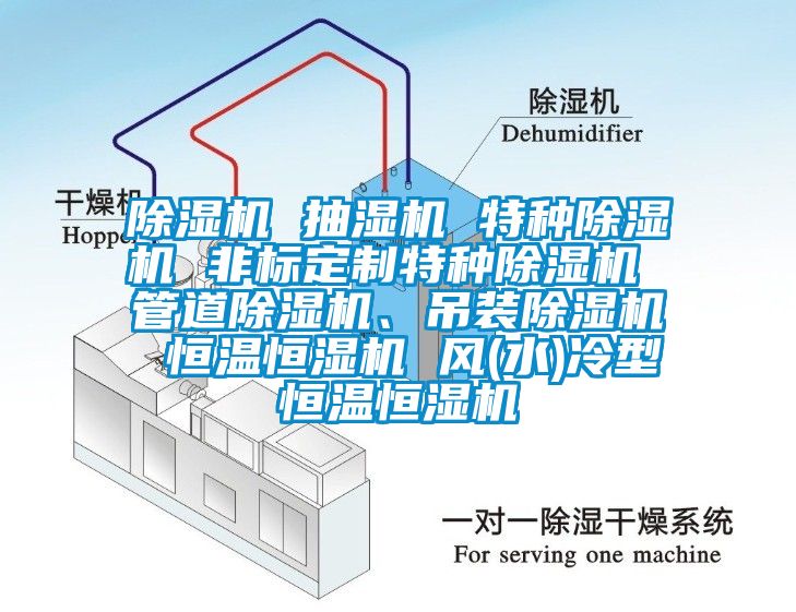 除濕機 抽濕機 特種除濕機 非標定制特種除濕機 管道除濕機、吊裝除濕機 恒溫恒濕機 風(水)冷型恒溫恒濕機