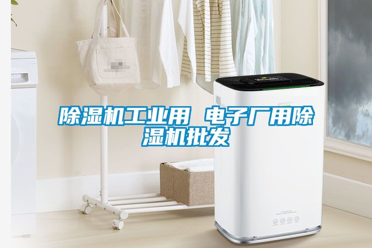 除濕機工業用 電子廠用除濕機批發