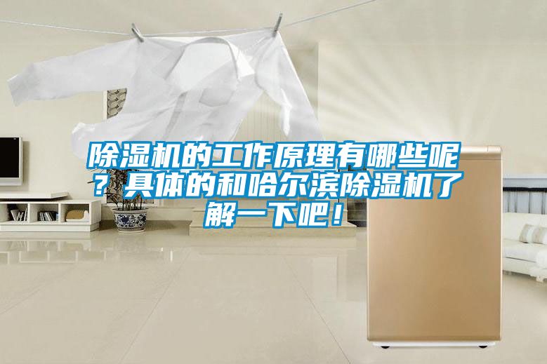 除濕機的工作原理有哪些呢？具體的和哈爾濱除濕機了解一下吧！