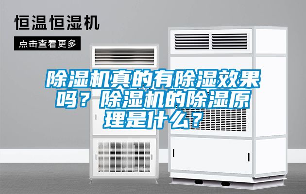 除濕機真的有除濕效果嗎？除濕機的除濕原理是什么？