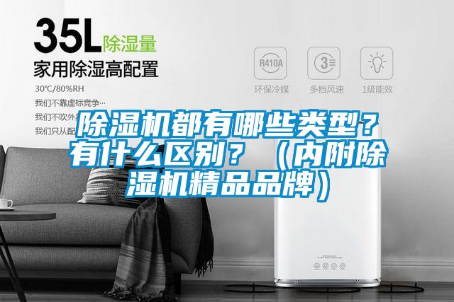 除濕機都有哪些類型？有什么區別？（內附除濕機精品品牌）