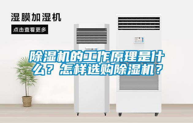 除濕機的工作原理是什么？怎樣選購除濕機？