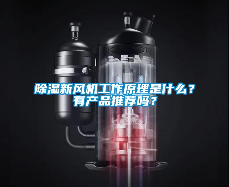 除濕新風機工作原理是什么？有產品推薦嗎？