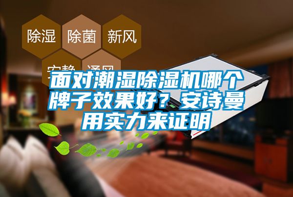 面對潮濕除濕機哪個牌子效果好？安詩曼用實力來證明